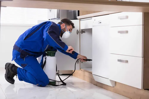 Servicios de Desinfección Profesional